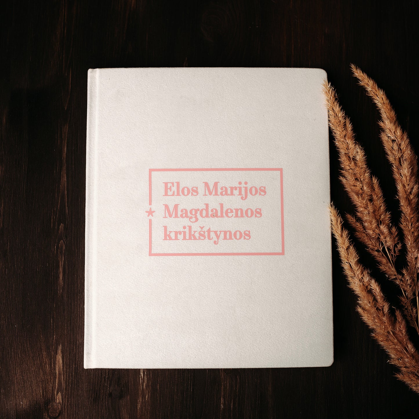 Personalizuota krikštynų knyga "Mano krikštynos"